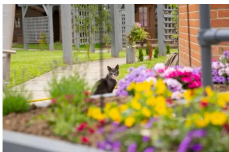 Weald Hall Care Home